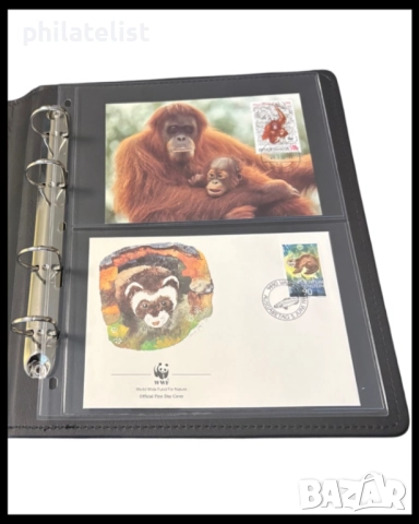 прозрачни резервни листи LUX за две картички 2C – 185x122 мм , опаковка от 10 броя - OPTIMA стандарт, снимка 3 - Филателия - 52091322