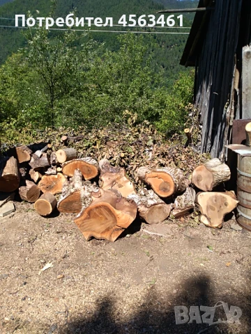 Продавам дървен материал ОРЕХ , снимка 9 - Други - 51354034