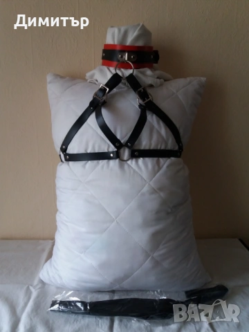 Харнес с нашийник