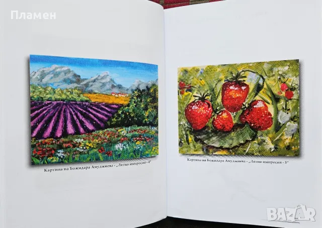 Лято мое, остани. Стихове, разкази и картини , снимка 4 - Българска литература - 49652145