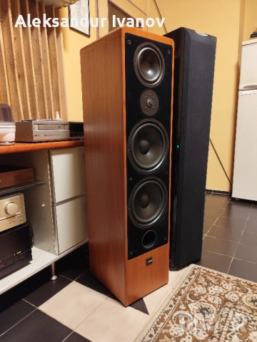 Canton Ergo SC-L (cherry), снимка 10 - Тонколони - 52642387