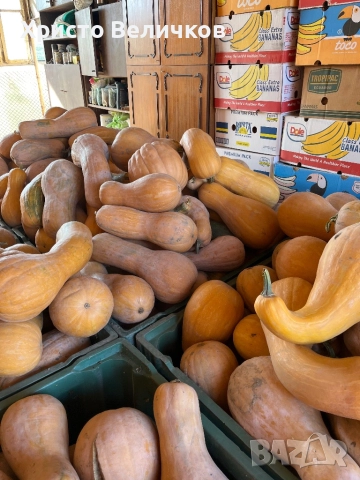 Тиква цигулка, снимка 2 - Други - 52136842