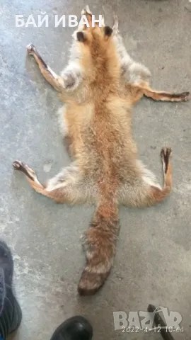 К0ЖИ, снимка 2 - Други - 50041701