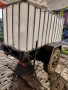 Цистерна 8 куб.2куб., снимка 15