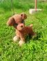 Плетена плюшена играчка - куче, снимка 1