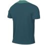 Мъжка Тениска Nike Dri-FIT Portugal Strike FJ2923-381, снимка 2