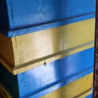 Продавам 9 броя пчелни кошери Дадан Блат 12 рамкови, снимка 10 - За пчели - 45072539