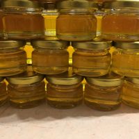 Малки бурканчета пълни с мед-25 мл., снимка 4 - Пчелни продукти - 45078614