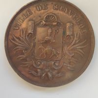 Красив медал "Concours Ardenne Agricole 1884 Ville de Stavelot", снимка 8 - Антикварни и старинни предмети - 45573504