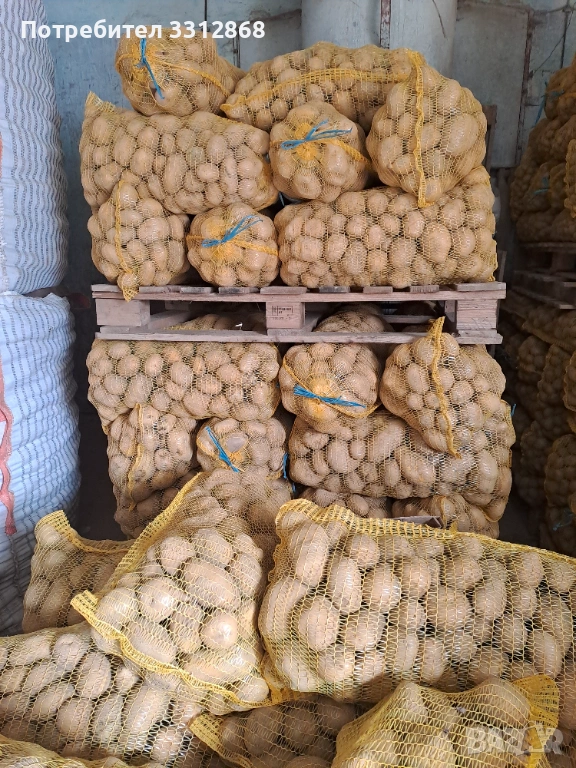 Картофи. РАВНОГОРСКИ, снимка 1