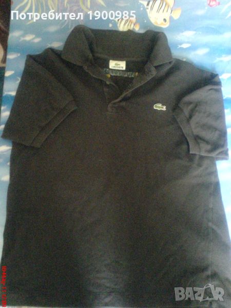 2 Тениски Lacoste оригинални, снимка 1