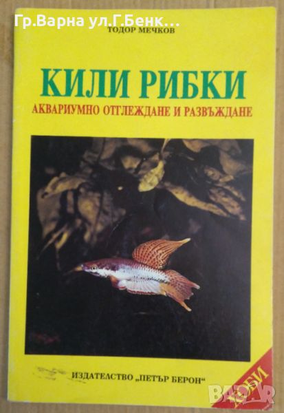 Кили рибки  Тодор Мечков, снимка 1