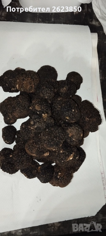 Черен Трюфел Замразен, снимка 1