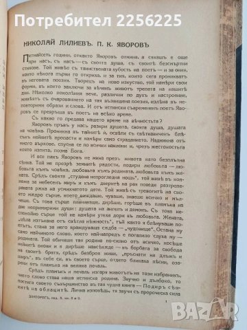 Списание Златорогь 1929г ( 1-10 ), снимка 6 - Специализирана литература - 53113499