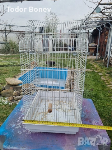 Продавам две клетки за птици и един терариум, снимка 3 - За птици - 53174088