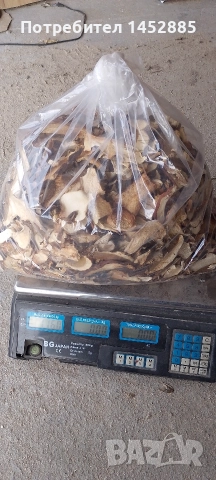 Сушена манатаркс