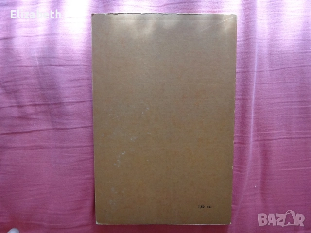 Пепелища - Франц Йозеф Дегенхарт, снимка 2 - Художествена литература - 52503294