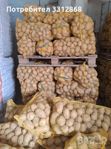 Картофи. РАВНОГОРСКИ