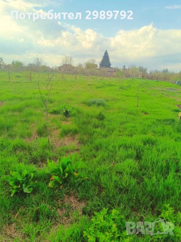 ПРОДАВА ПАРЦЕЛ В РЕГУЛАЦИЯ С ТОК,ВОДА В с.БЕЗВОДИЦА,обл.ДОБРИЧ, снимка 2 - Парцели - 54278588