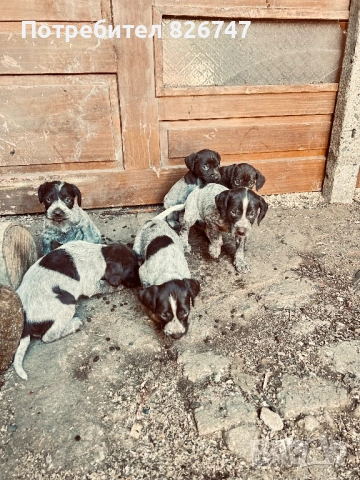 Продавам дратхари 