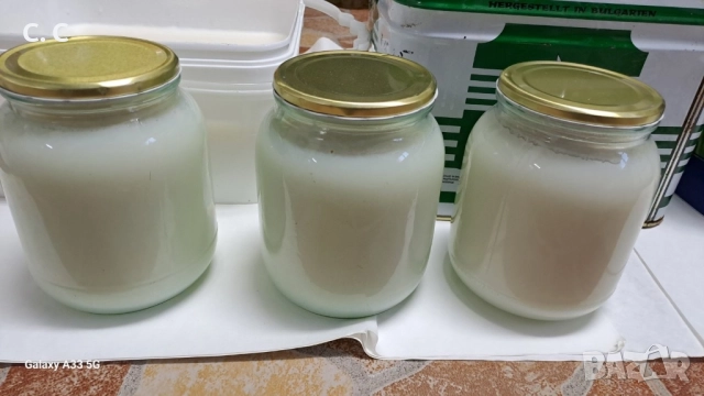 Прясна домашна свинска мас цена за 1 кг , снимка 2 - Домашни продукти - 52941778