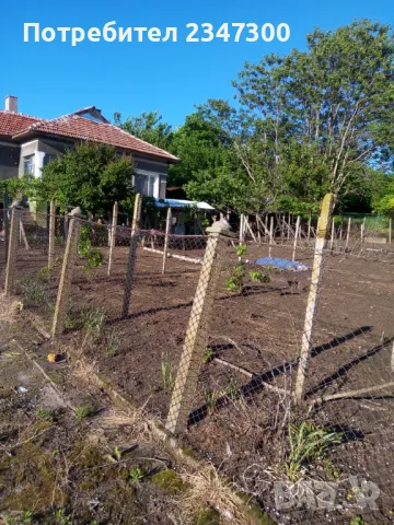 Селска къща в с.златия, снимка 16 - Къщи - 44665887