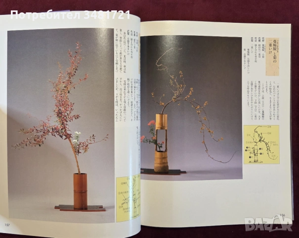 Икебана справочник - история, стилове и традиции / Ikebana, снимка 14 - Енциклопедии, справочници - 53748376