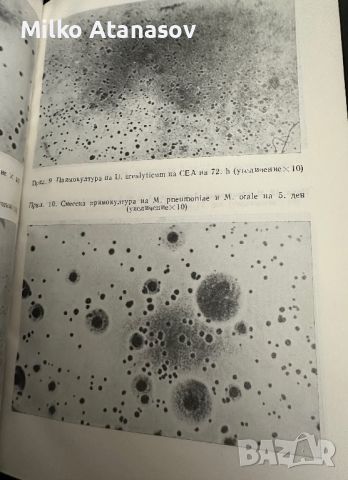 Микоплазмени инфекции у човека -В.Мандулов, снимка 8 - Специализирана литература - 45322000