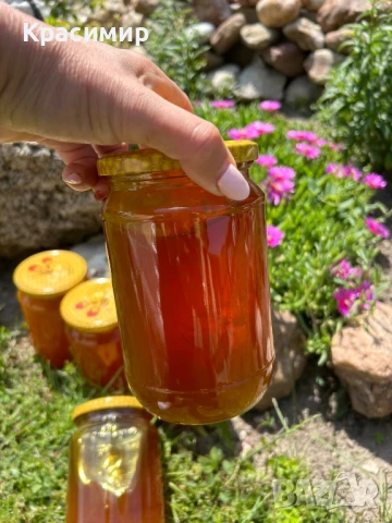 Предлагам натурален пчелен мед , снимка 4 - Пчелни продукти - 50456583