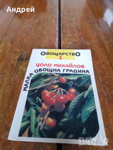 Книга Малка Овощна Градина, снимка 1 - Специализирана литература - 45807912