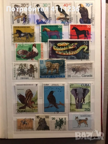 Класьор с марки предимно Фауна , снимка 14 - Филателия - 53513901