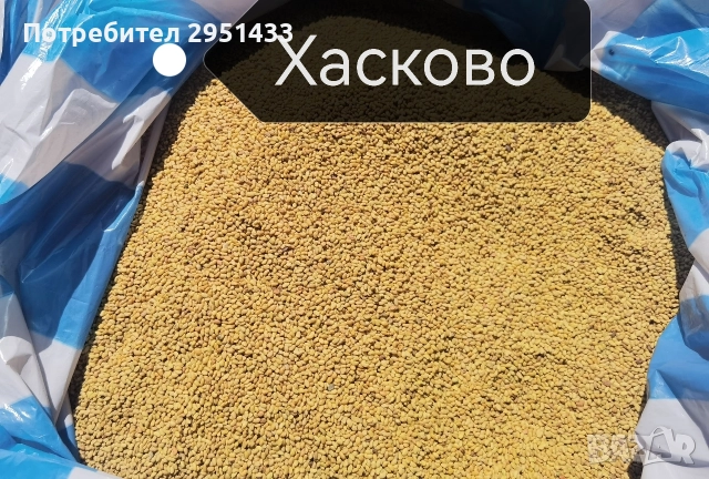 Люцерново семе! Семе люцерна , снимка 2 - За селскостопански - 52970587
