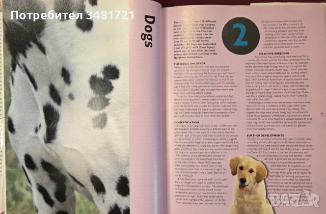 Енциклопедия за домашни любимци / The Hamlyn Family Pet Care Encyclopedia, снимка 6 - Енциклопедии, справочници - 54167821