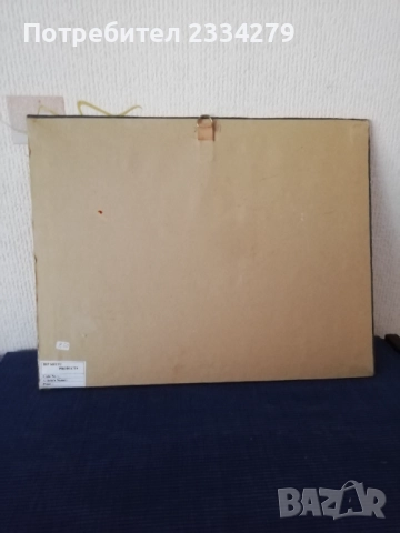 Две картини ръчно изработени. , снимка 8 - Картини - 52976418