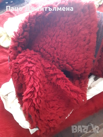 Вълнен китеник