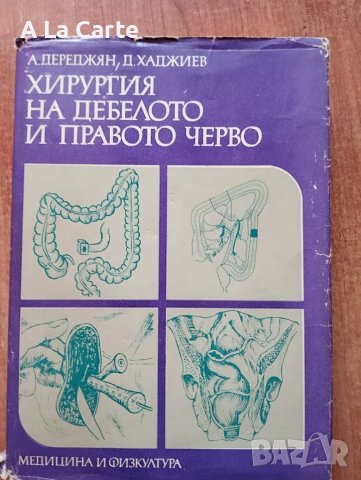 Хирургия на дебелото и правото черво, снимка 1 - Специализирана литература - 47245724