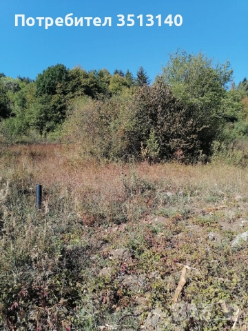 Парцел с. Панчарево, София, снимка 9 - Парцели - 51669556