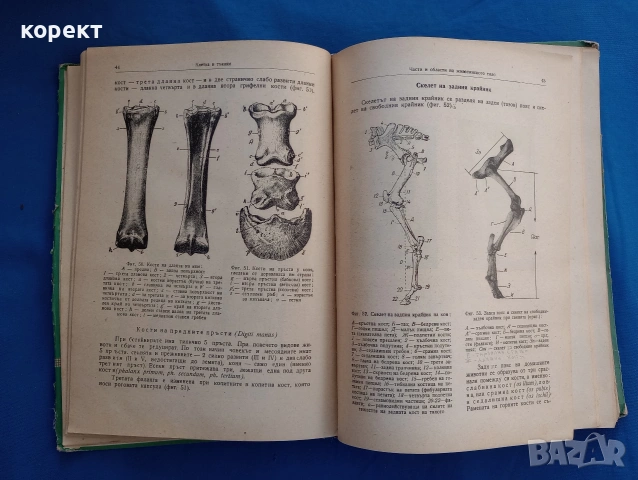 Физиология на селскостопанските животни с основи на анатомията , снимка 7 - Други - 53076336