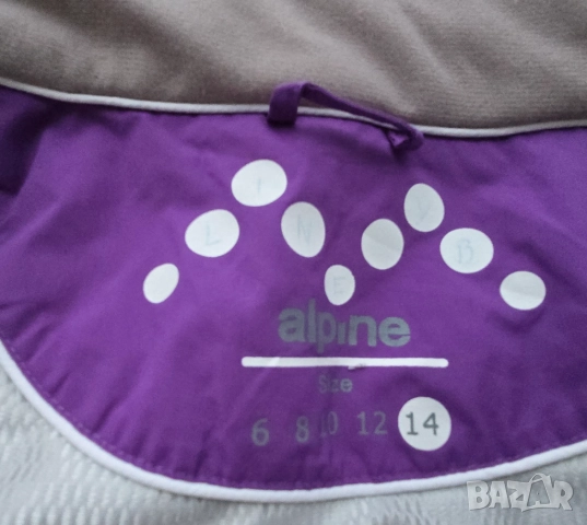 Дамски ски екип размер М , снимка 5 - Зимни спортове - 52696706