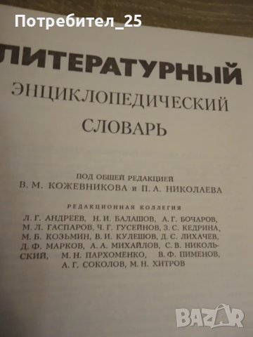 Литературен енциклопедичен речник, снимка 3 - Чуждоезиково обучение, речници - 50148159