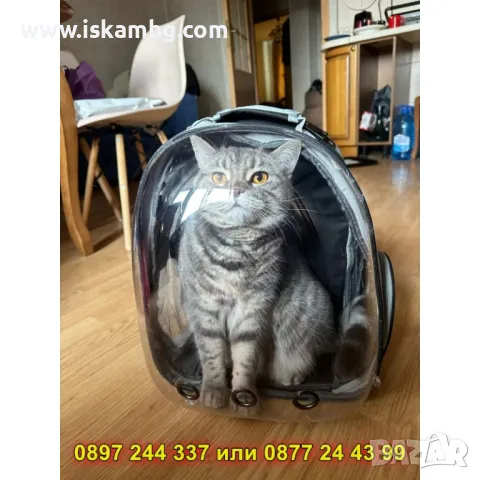 Разтегателна раница за домашен любимец с прозрачен капак - КОД 4327, снимка 9 - Други стоки за животни - 49877197