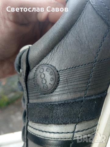 Ecco 42нм. 26,5см.