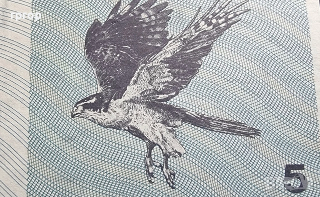 Литва.
5 талона.
1991 година .
UNC. Рядка. , снимка 3 - Нумизматика и бонистика - 50206734