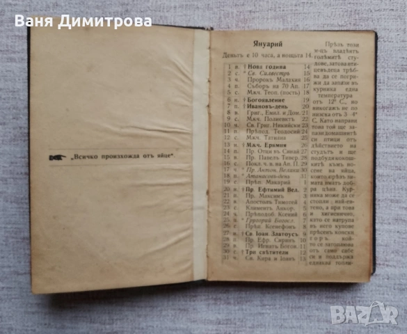 Птицевъденъ календаръ за 1908 год., снимка 2 - Други - 53473079