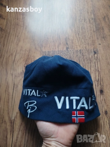 Bjorn Daehlie - страхотна зимна шапка , снимка 2 - Шапки - 53358048