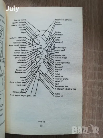 Козметичен и лечебен точков масаж, самоучител по акупресура, Георги Гураранов, снимка 5 - Специализирана литература - 50200964