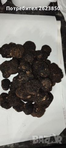 Черен Трюфел Замразен