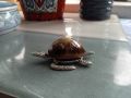 сувенир от Малдивите,   Океанска костенурка, изработена от метал и морска раковина, снимка 4