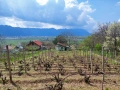 Продавам вила, снимка 3