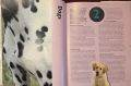 Енциклопедия за домашни любимци / The Hamlyn Family Pet Care Encyclopedia, снимка 6